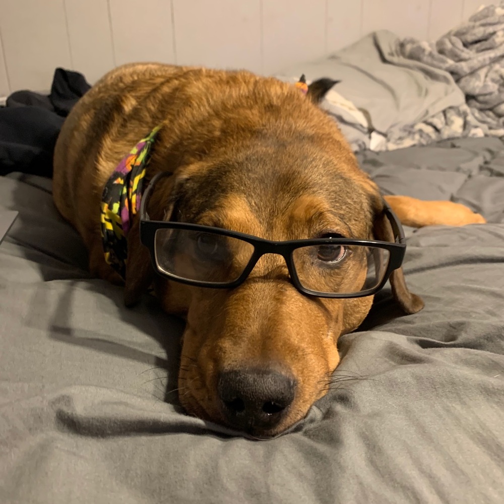 Meet your Posher, Alexis